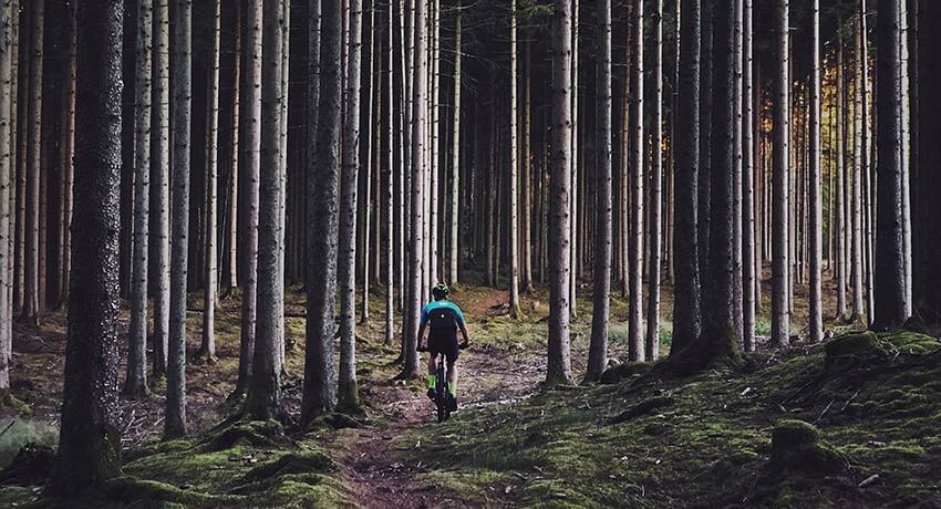 Person som cyklar mountainbike i skogen