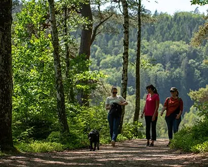 Tre vänner vandrar i Skedalaskog i Halmstad