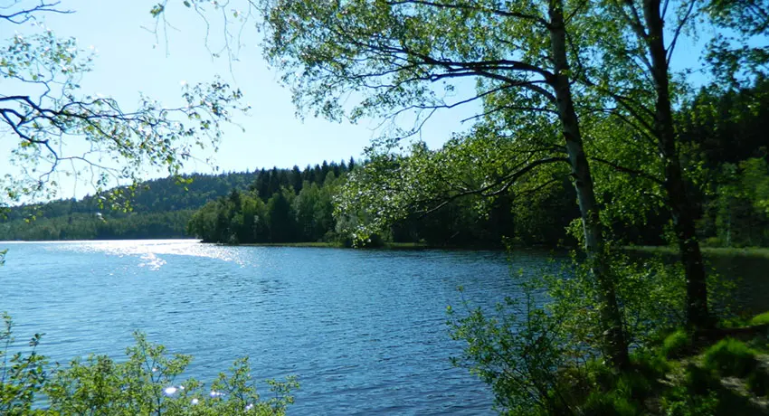 Vy över sjö i Skedala skog Halmstad